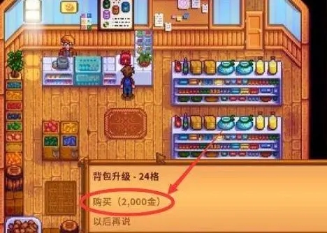 购买