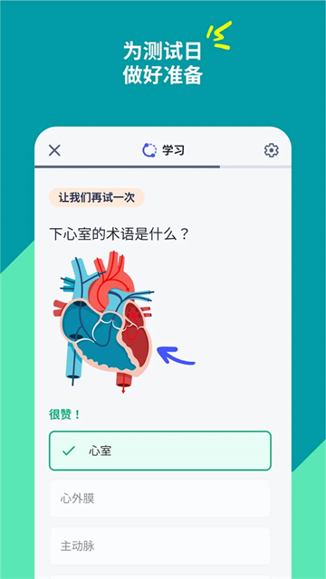 Quizlet官方中文版 截图 3