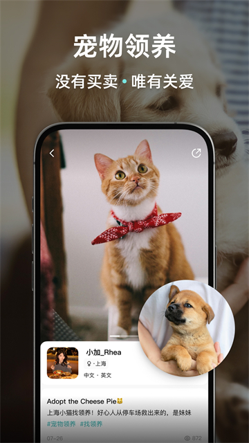 Wellcee租房App官方版 截图 4