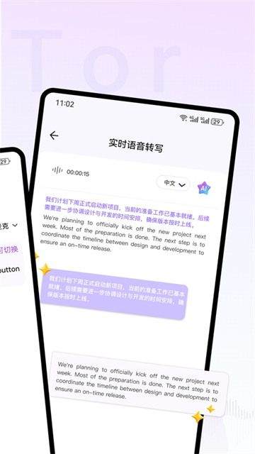 ViiTor实时翻译器App 截图 4